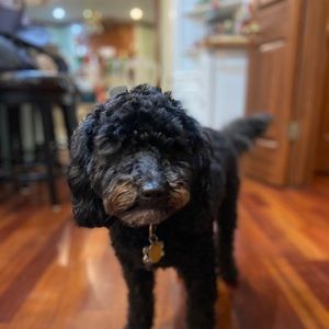 Meet your Posher, Claire